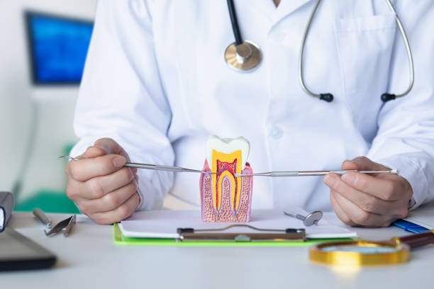Best Chipped Tooth Repair Near Me  in Seguin, TX